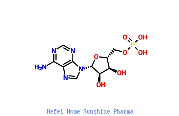Adenosiini 5'-monofosfaatti (AMP) CAS 61-19-8