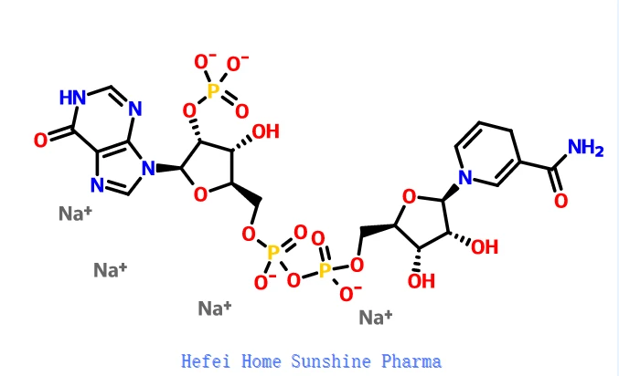 Nicotinamide hypoxanthine dinucleotide phosphate reduced tetrasodium salt NADPH CAS 42934-87-2