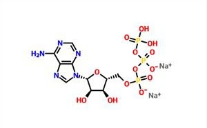 Adenosiini 5'-trifosfaatti dinatrium suola ATP CAS 987-65-5