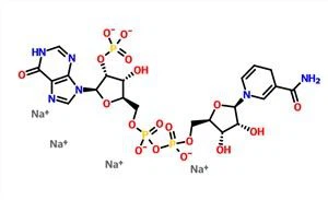 Nicotinamide hypoxanthine dinucleotide phosphate reduced tetrasodium salt NADPH CAS 42934-87-2